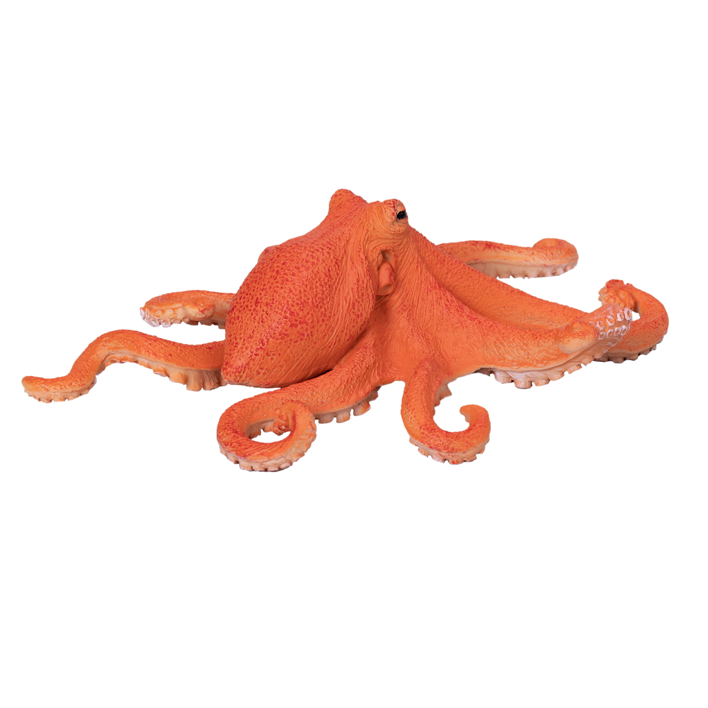 Mojo Fun Octopus