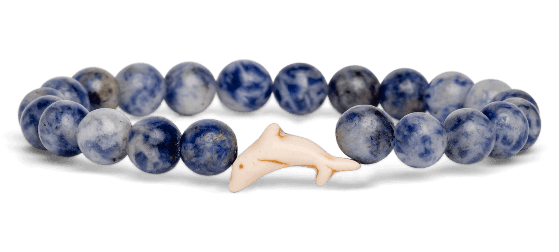 Track a Dolphin - The Odyssey Bracelet