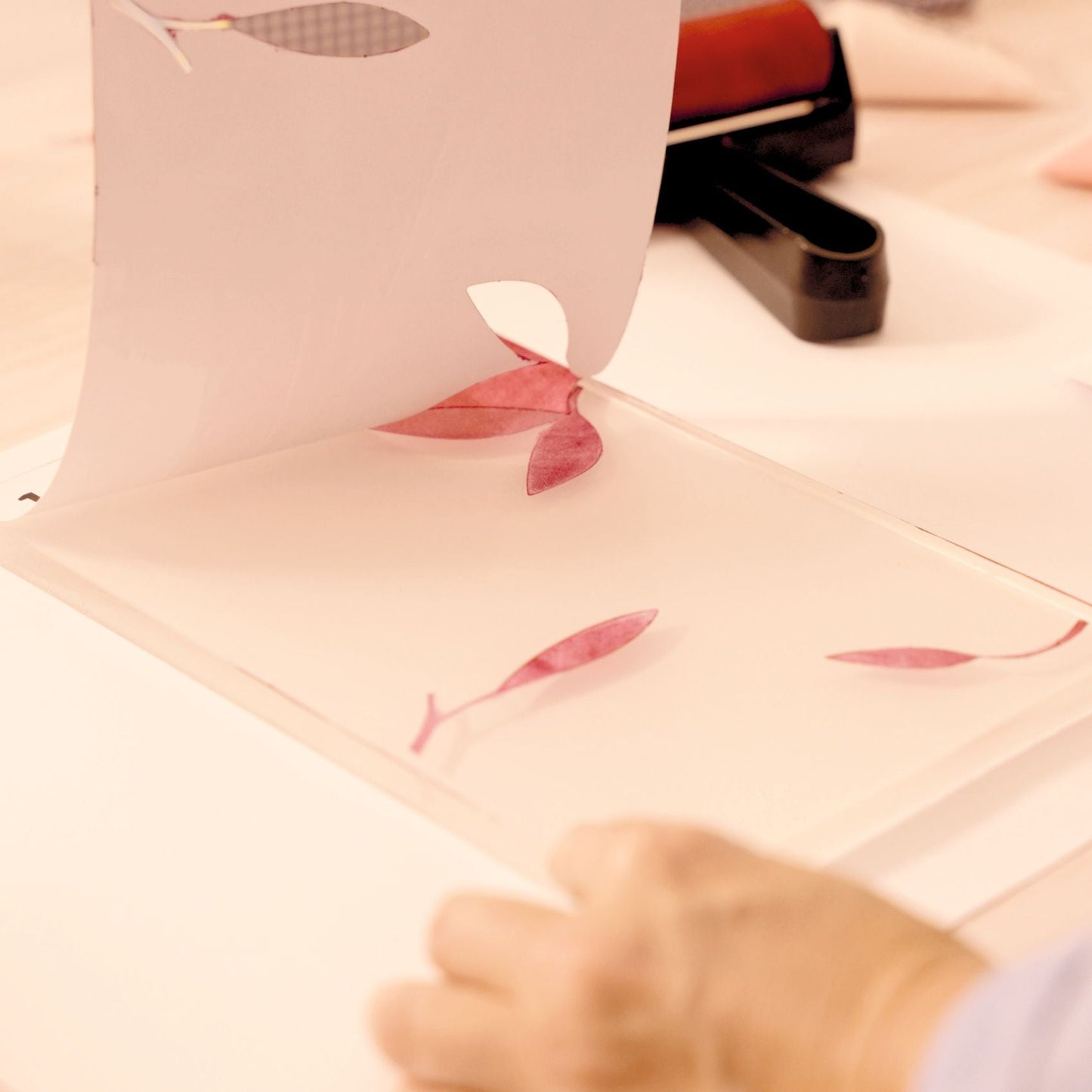 Djeco Atelier Grands Augustins: Beginner Gel Printing Kit