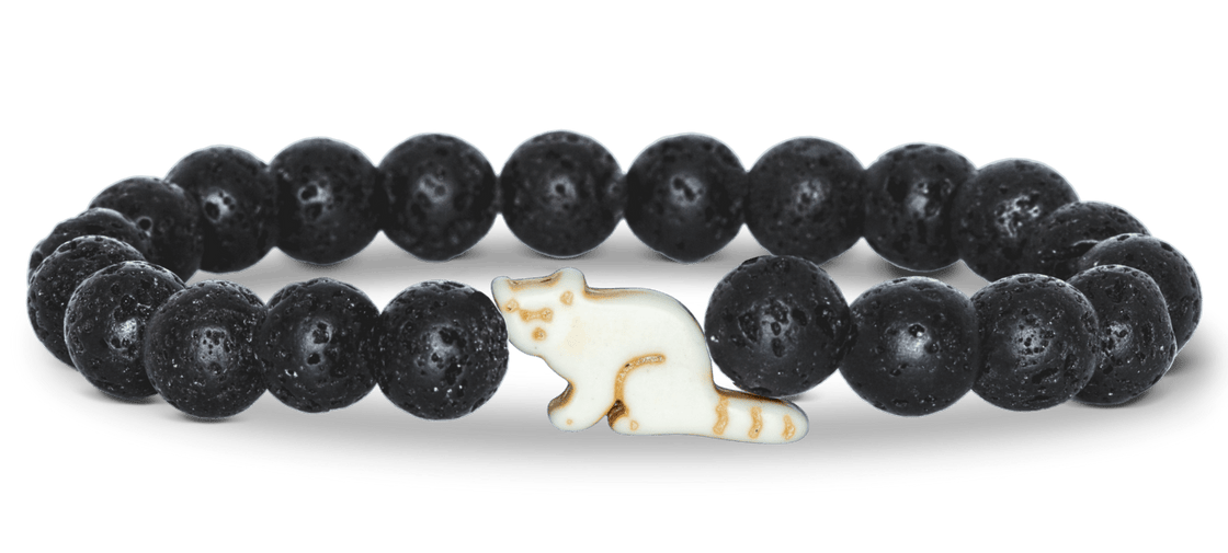Track a Red Panda - The Dash Bracelet