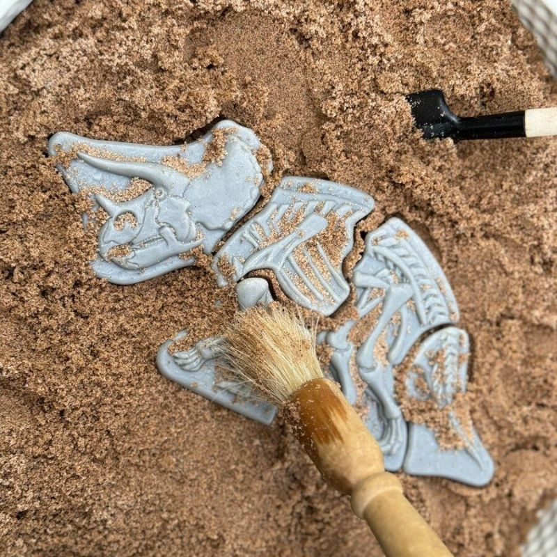 Yellow Door Dig and Discover - Triceratops and Spinosaurus