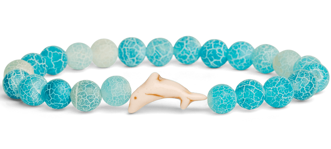 Track a Dolphin - The Odyssey Bracelet