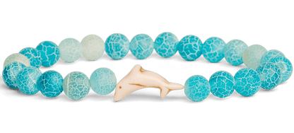 Track a Dolphin - The Odyssey Bracelet