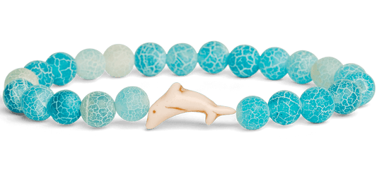 Track a Dolphin - The Odyssey Bracelet