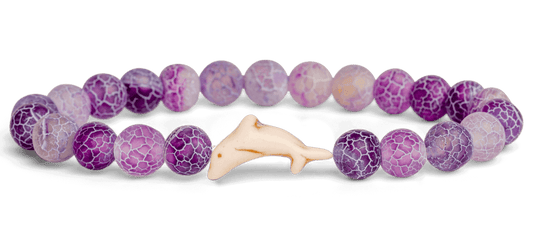 Track a Dolphin - The Odyssey Bracelet