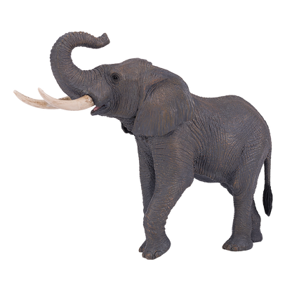Mojo Fun African Elephant