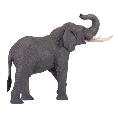 Mojo Fun African Elephant