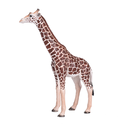 Mojo Fun Giraffe Male