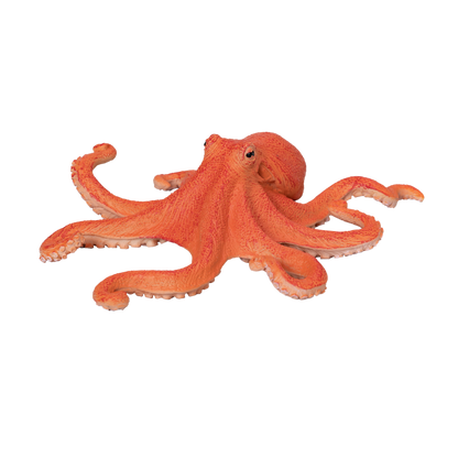Mojo Fun Octopus