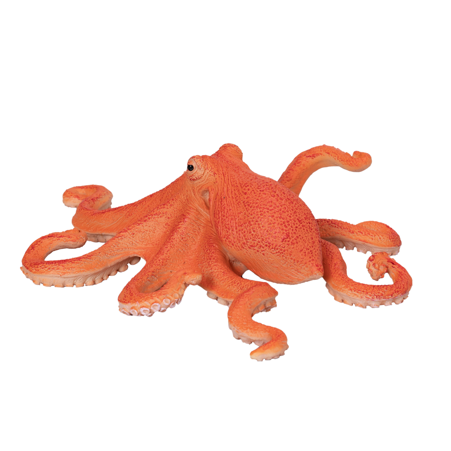 Mojo Fun Octopus