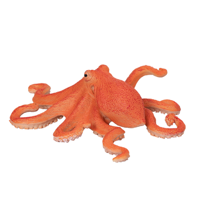 Mojo Fun Octopus