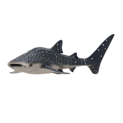 Mojo Fun Whale Shark
