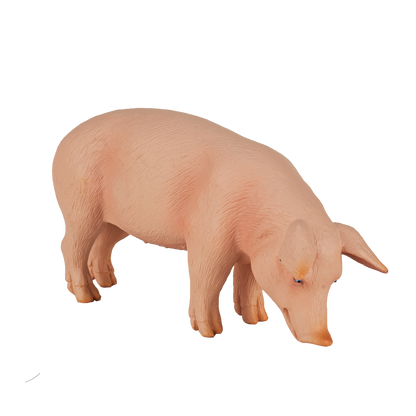 Mojo Fun Pig (Boar)