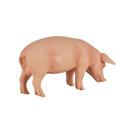 Mojo Fun Pig (Boar)