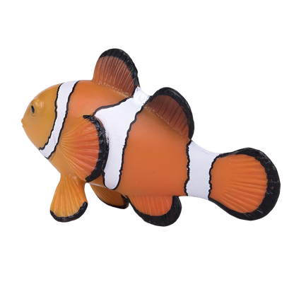 Mojo Fun Clown Fish