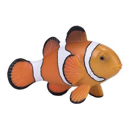 Mojo Fun Clown Fish