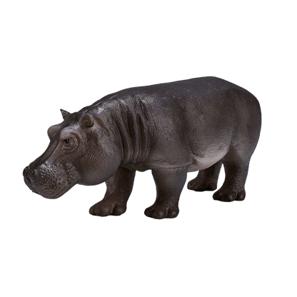 Mojo Fun Hippopotamus Female