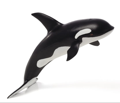 Mojo Fun Orca Deluxe