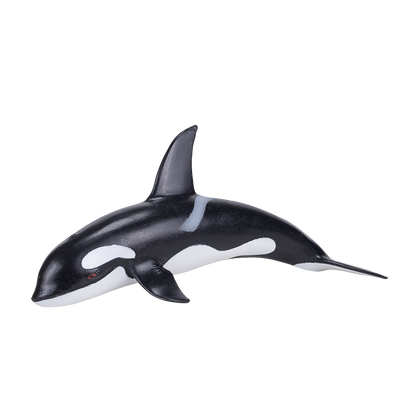 Mojo Fun Orca Deluxe