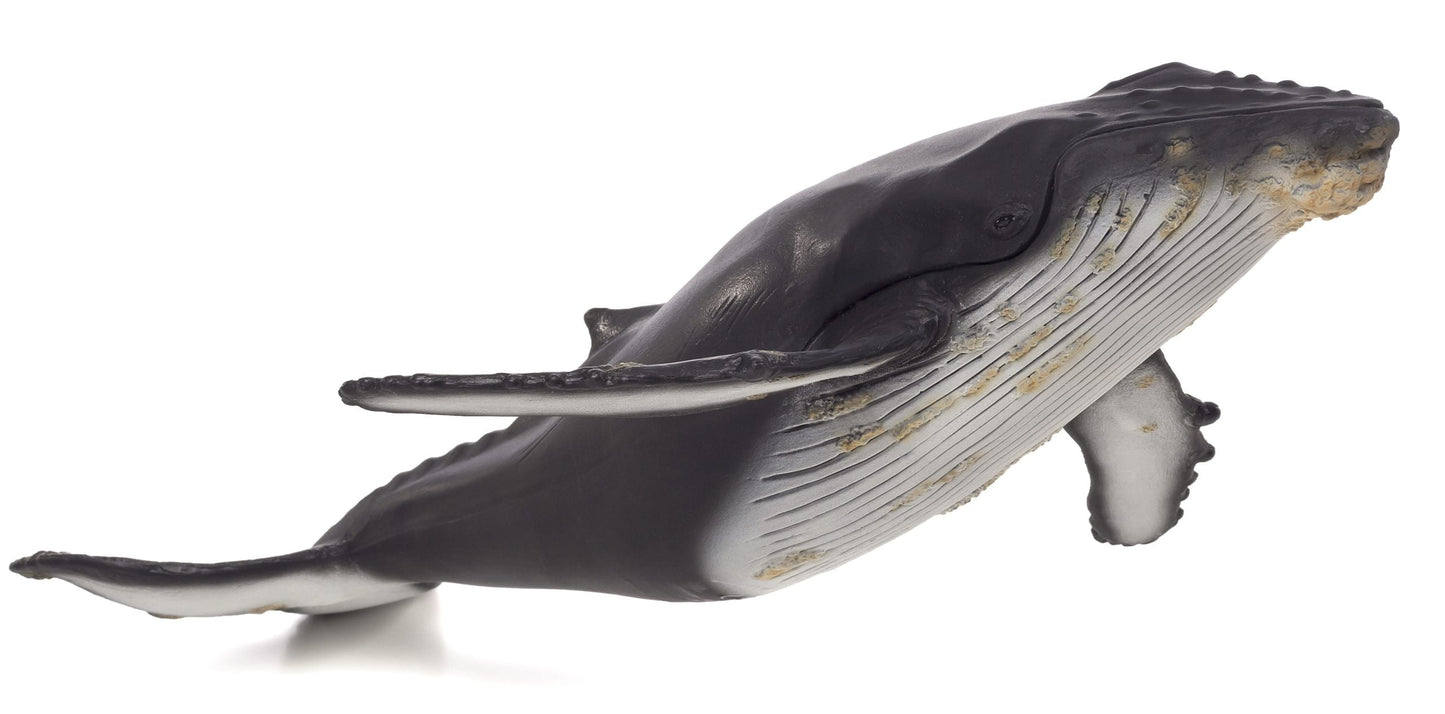 Mojo Fun Humpback Whale Deluxe