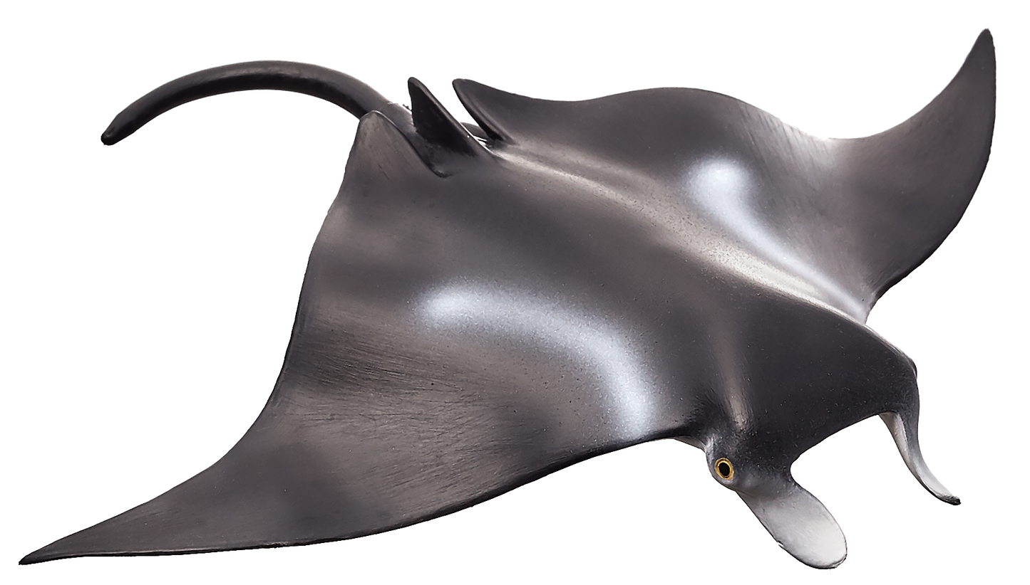 Mojo Fun Manta Ray
