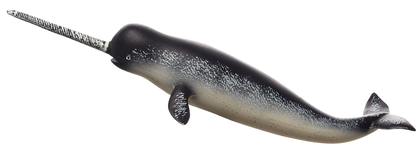 Mojo Fun Narwhal