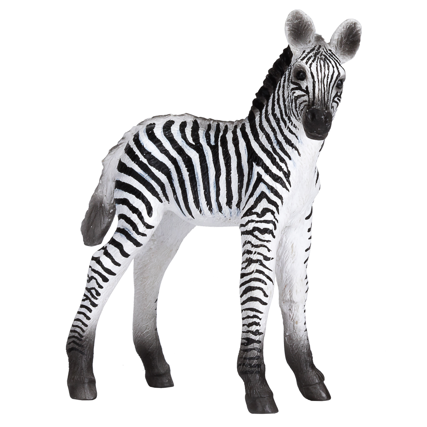 Mojo Fun Zebra Foal