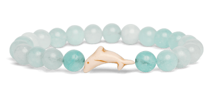 Track a Dolphin - The Odyssey Bracelet