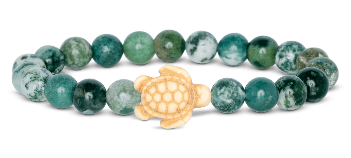Track a Sea Turtle - The Journey Bracelet