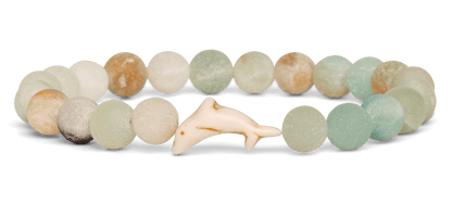 Track a Dolphin - The Odyssey Bracelet