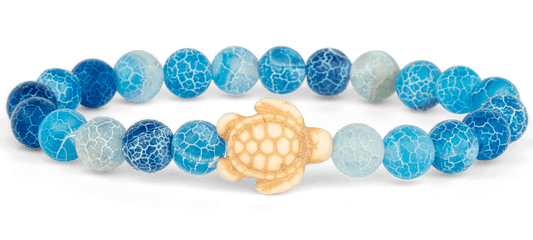 Track a Sea Turtle - The Journey Bracelet