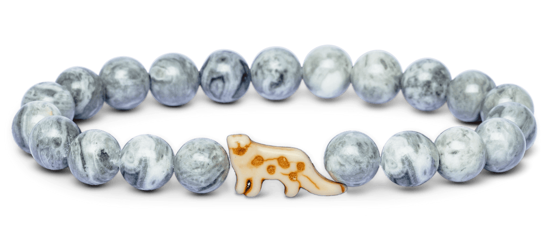 Track a Snowleopard - The Ascent Bracelet
