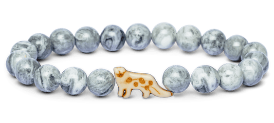 Track a Snowleopard - The Ascent Bracelet