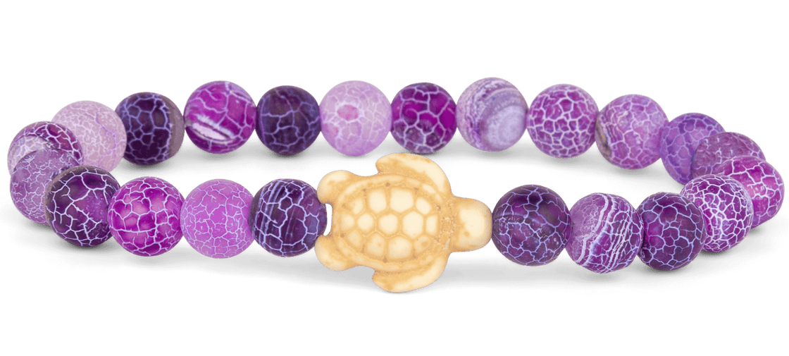 Track a Sea Turtle - The Journey Bracelet