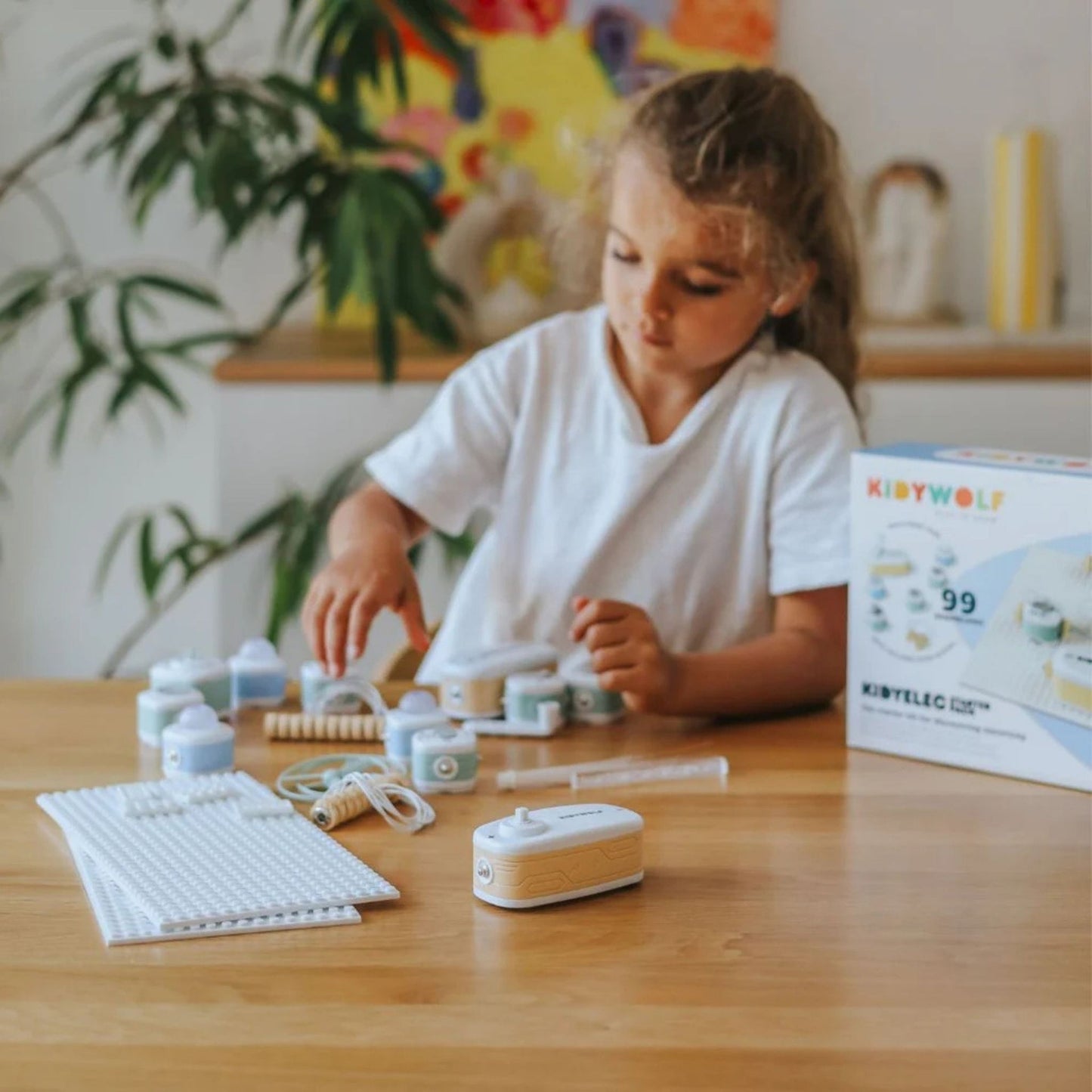 Kidywolf Starter Electricity Kit 11 Piece