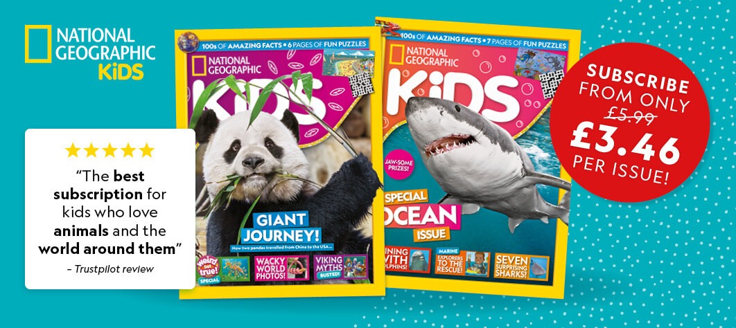National Geographic Kids Magazine 6 Month Subscription