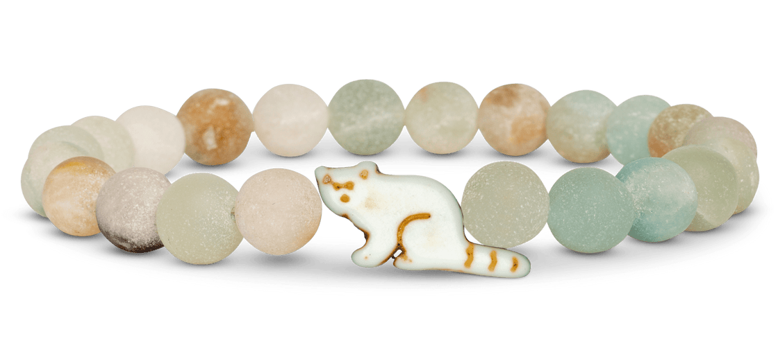 Track a Red Panda - The Dash Bracelet