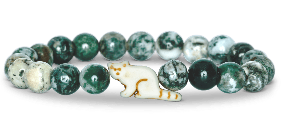 Track a Red Panda - The Dash Bracelet