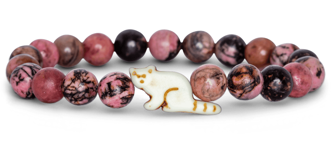 Track a Red Panda - The Dash Bracelet