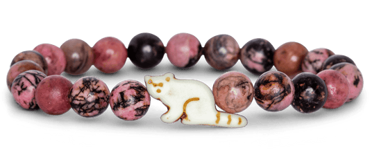 Track a Red Panda - The Dash Bracelet