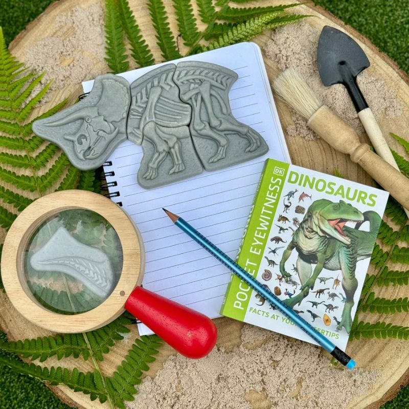 Yellow Door Dig and Discover - Triceratops and Spinosaurus