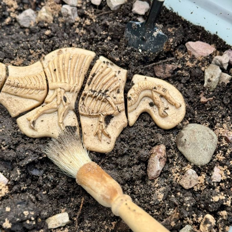 Yellow Door Dig and Discover - Triceratops and Spinosaurus