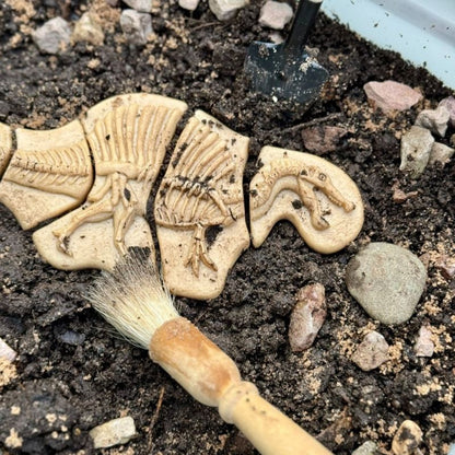 Yellow Door Dig and Discover - Triceratops and Spinosaurus