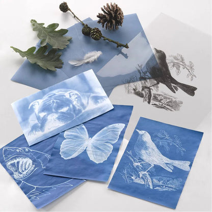 Nature Print Paper Pack (Pack of 30)